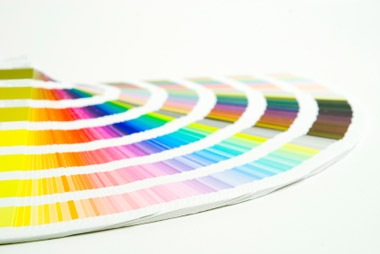 color palette